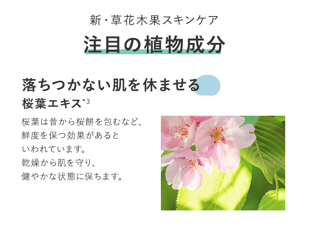 落ちつかない肌を休ませる桜葉エキス*2桜葉は昔から桜餅を包むなど、炎症への鎮静効果があるといわれています。紫外線やブルーライト、花粉などでストレスフルになった肌を落ちつかせ、健やかな状態に保ちます。