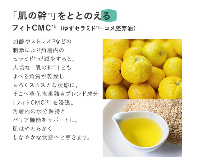 肌の体幹をととのえるフィトCMC*4(ゆずセラミド*5+コメ胚芽油*6)加齢やストレスなどの刺激により角層内のセラミド*7が減少すると、大切な「肌の幹」ともよべる角質が、もろくスカスカの状態に。そこへ草花木果独自ブレンド成分「フィトCMC*4」を浸透*8。角層内の水分保持とバリア機能をサポートし、肌はやわらかくしなやかな状態へと導きます。