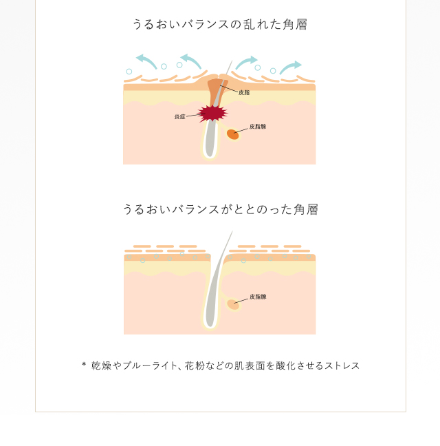 うるおいバランスの乱れた角層 うるおいバランスがととのった角層 * 乾燥やブルーライト、花粉などの肌表面を酸化させるストレス
