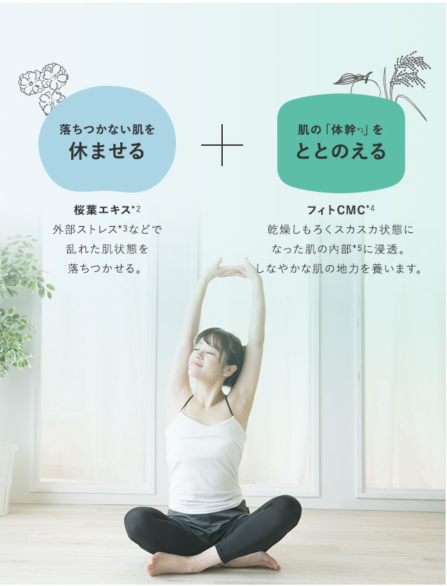 落ちつかない肌を休ませる 外部ストレス*1などでターンオーバーが乱れた肌を落ちつかせる桜葉エキス*2配合処方。 肌の「体幹」をととのえる もろくスカスカ状態になった肌の内部*3にフィトCMC*4が浸透。しなやかな肌の地力を養う。