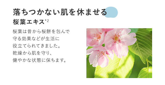 落ちつかない肌を休ませる桜葉エキス*2桜葉は昔から桜餅を包むなど、炎症への鎮静効果があるといわれています。紫外線やブルーライト、花粉などでストレスフルになった肌を落ちつかせ、健やかな状態に保ちます。