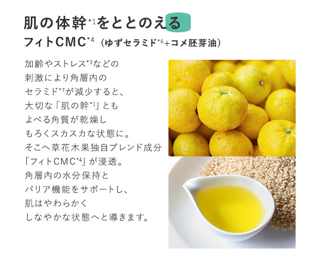 肌の体幹をととのえるフィトCMC*4(ゆずセラミド*5+コメ胚芽油*6)加齢やストレスなどの刺激により角層内のセラミド*7が減少すると、大切な「肌の幹」ともよべる角質が、もろくスカスカの状態に。そこへ草花木果独自ブレンド成分「フィトCMC*4」を浸透*8。角層内の水分保持とバリア機能をサポートし、肌はやわらかくしなやかな状態へと導きます。