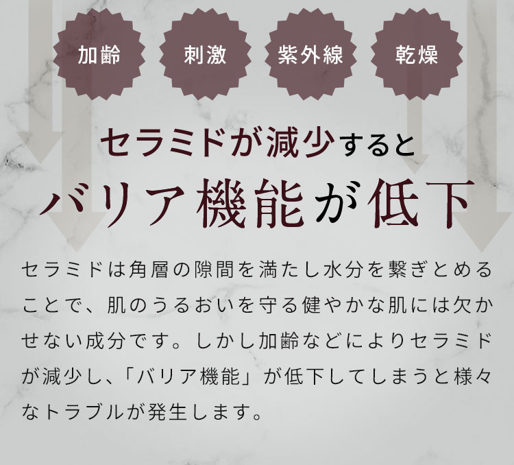 セラミドが減少するとバリア機能が低下