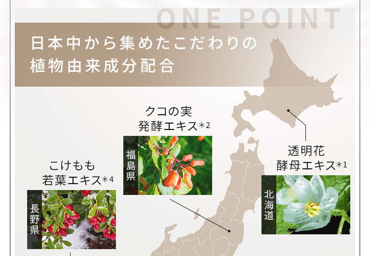 日本中から集めたこだわりの植物由来成分配合
