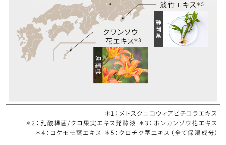 メトスクニコウィアビチコラエキス