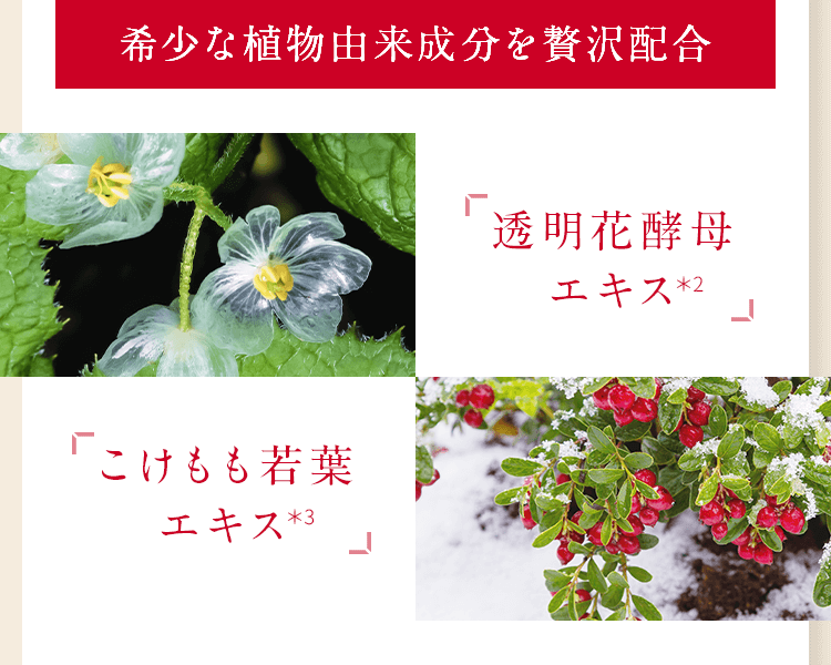 希少な植物由来成分を贅沢配合