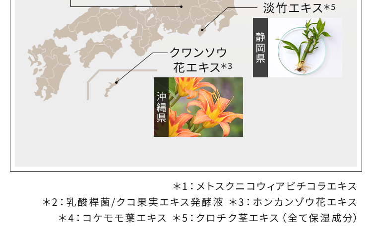 メトスクニコウィアビチコラエキス
