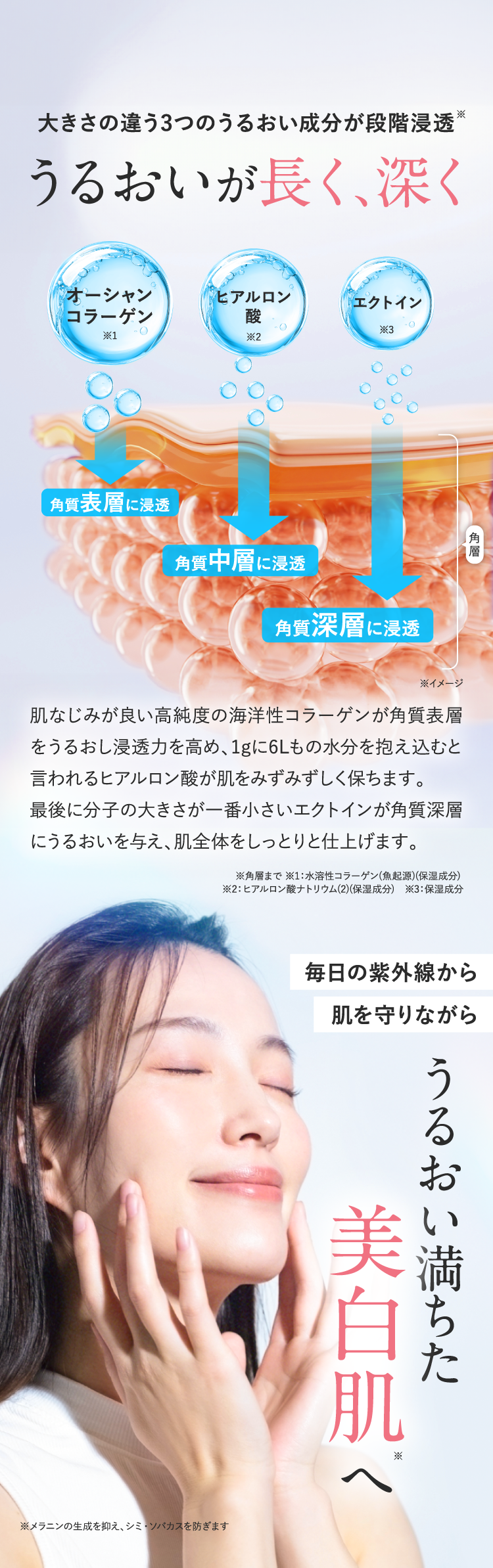 
      大きさの違う3つのうるおい成分が段階浸透*うるおいが長く、深く