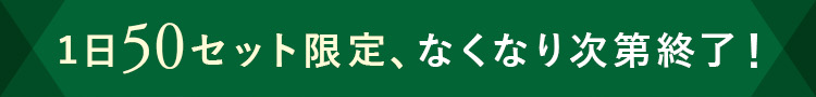 500セット限定、なくなり次第終了！