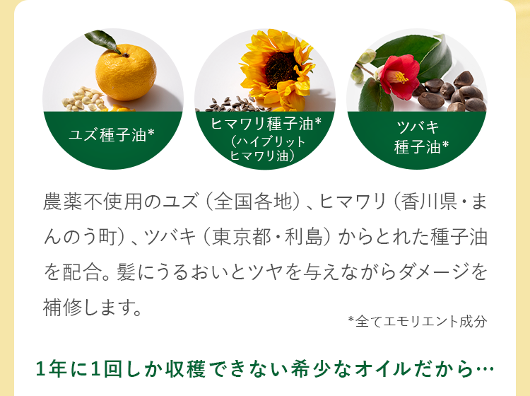 1年に1回しか収穫できない希少なオイルを非加熱コールドプレス（低温圧搾法）で搾油