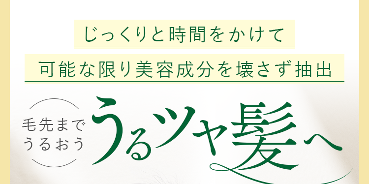 カラーリングを繰り返した髪は、ダメージが蓄積し、カラーの維持が難しくなることも。