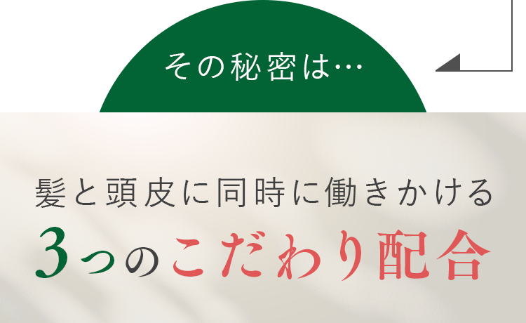 髪と頭皮に同時に働きかける