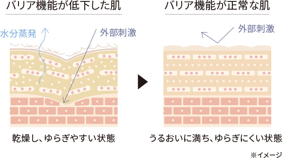 肌のバリア機能をいっそう充実させるために