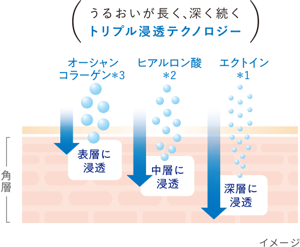 エクトイン、ヒアルロン酸、オーシャンコラーゲン
