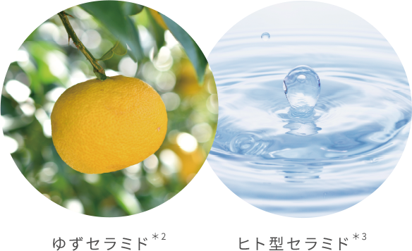 ゆずセラミド　ヒト型セラミド