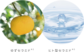 ゆずセラミド　ヒト型セラミド