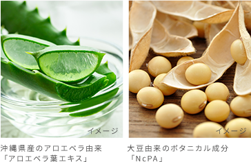 沖縄県産のアロエベラ由来「アロエベラ葉エキス」大豆由来のボタニカル成分「NCPAI」