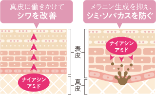 ナイアシンアミド