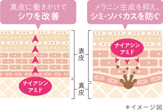 ナイアシンアミド