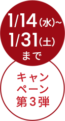 1/6~1/31まで