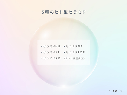 5種のヒト型セラミド
