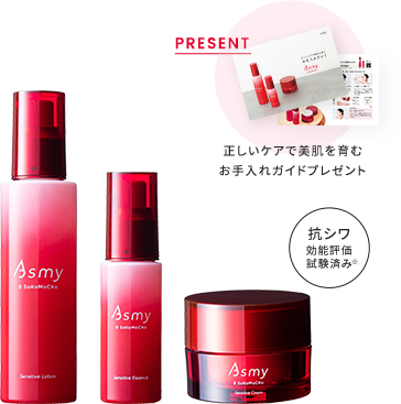 トータルエイジングケアセット（本品）