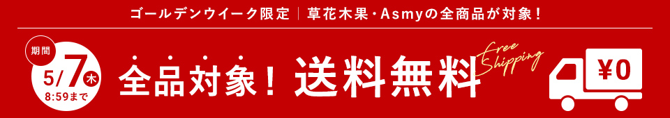 【ゴールデンウイーク限定】全品対象！送料無料