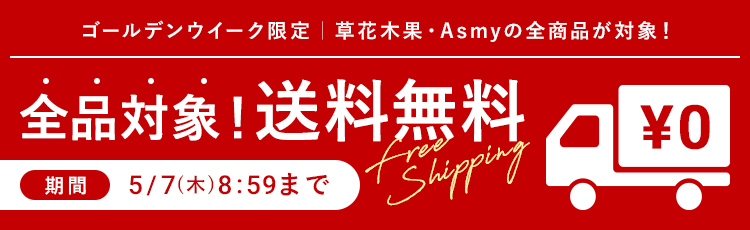 【ゴールデンウイーク限定】全品対象！送料無料