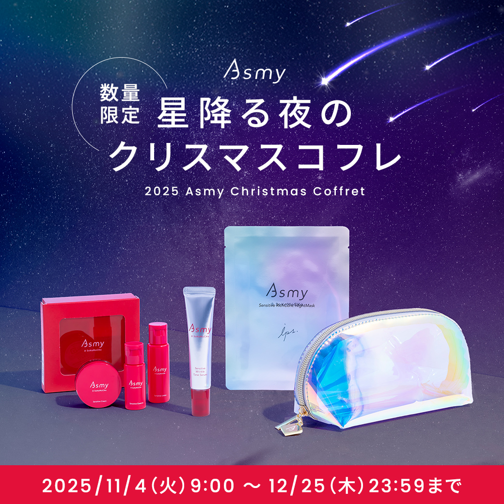 【2025年11月4日発売】星降る夜のクリスマスコフレ