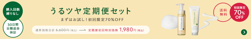 泡シャンプー定期便セット