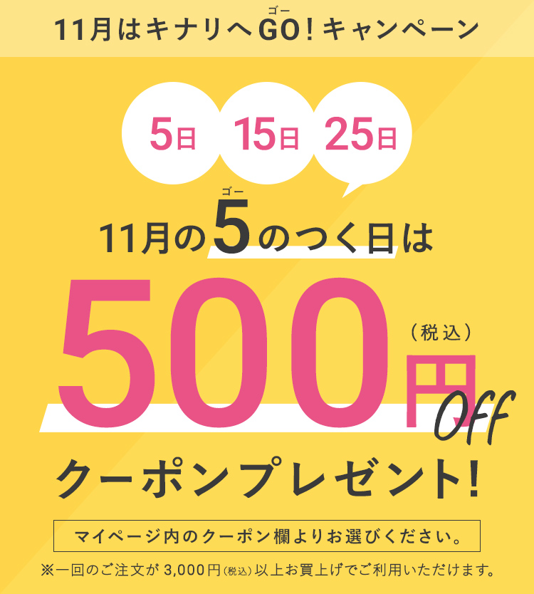 11月の5のつく日は500円OFFクーポンプレゼント