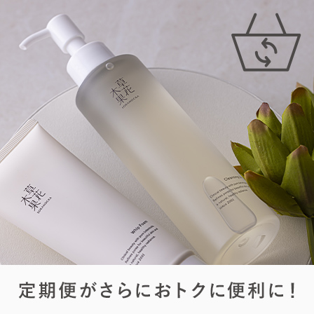 定期デビューキャンペーン