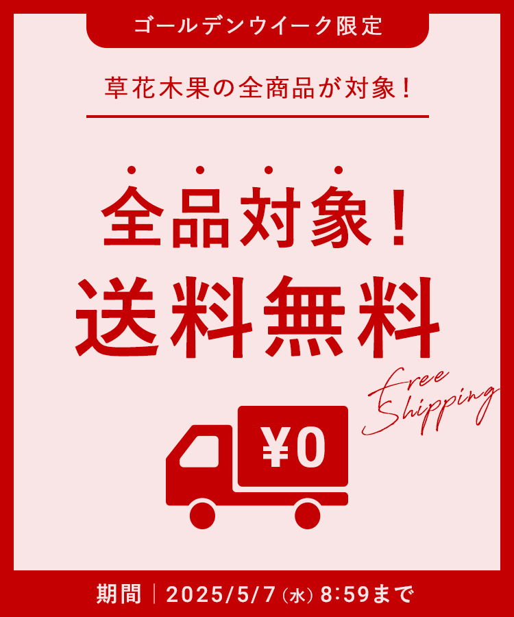 全品対象 送料無料