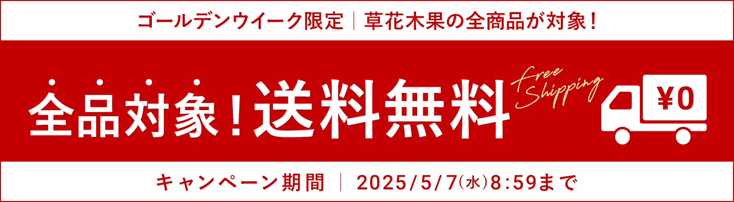 全品対象！送料無料