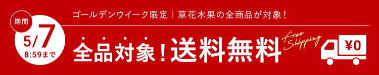 全品対象 送料無料
