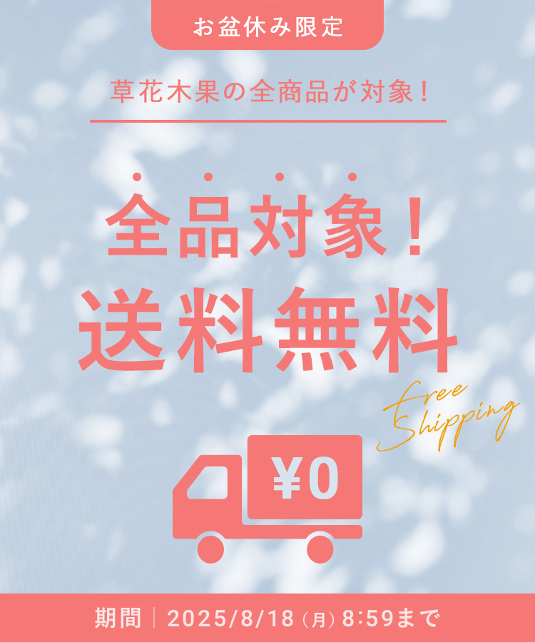 お盆限定送料無料キャンペーン