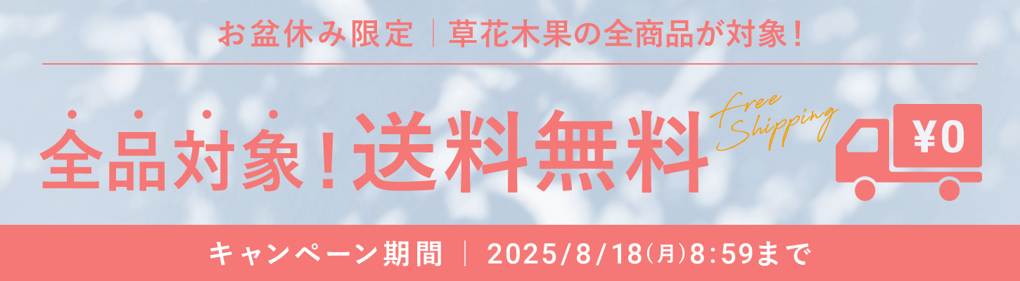 お盆限定送料無料キャンペーン