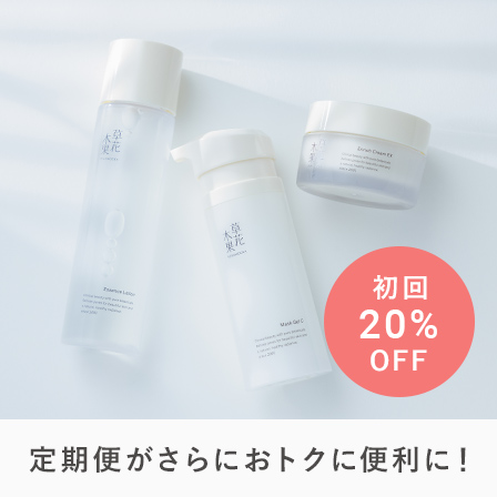 定期デビューキャンペーン