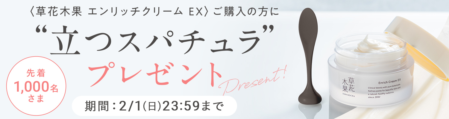 エンリッチクリームEXスパチュラプレゼント