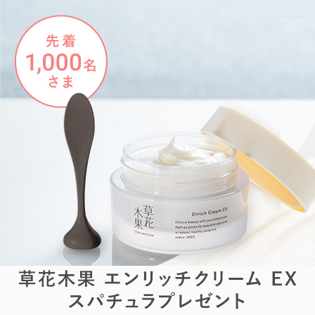 エンリッチクリームEXスパチュラプレゼント