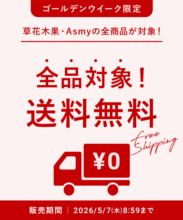 GW送料無料