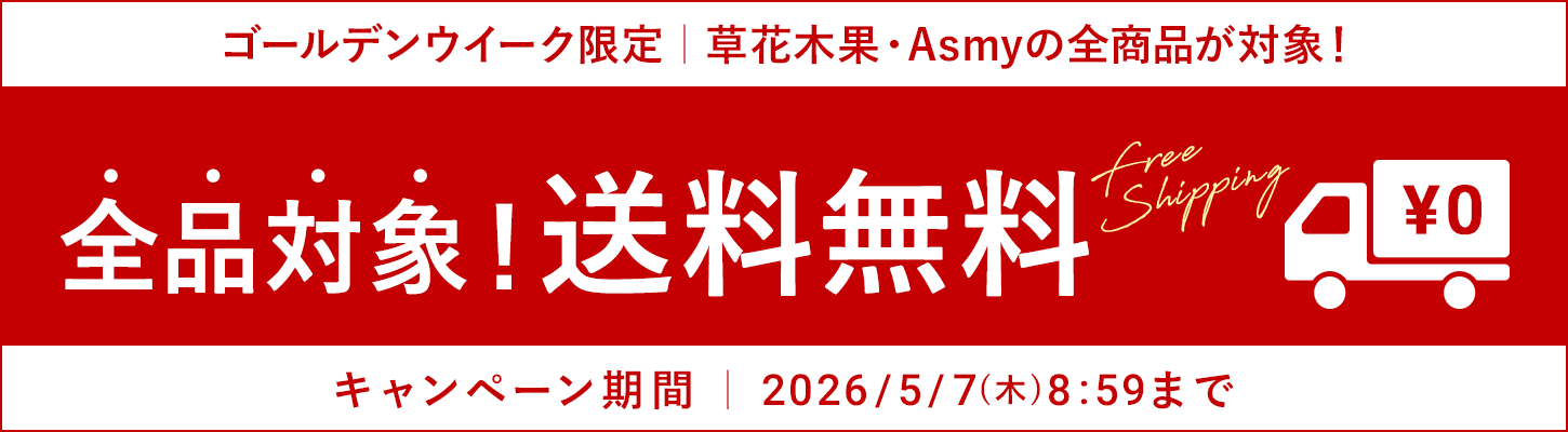 GW送料無料