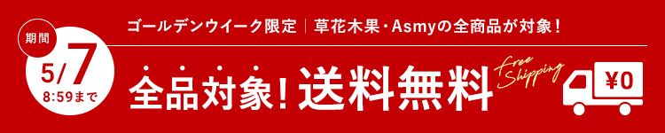 GW送料無料