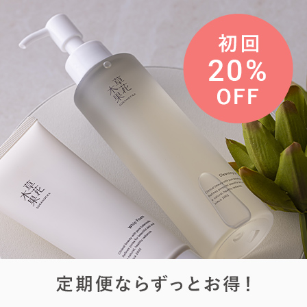 定期デビューキャンペーン