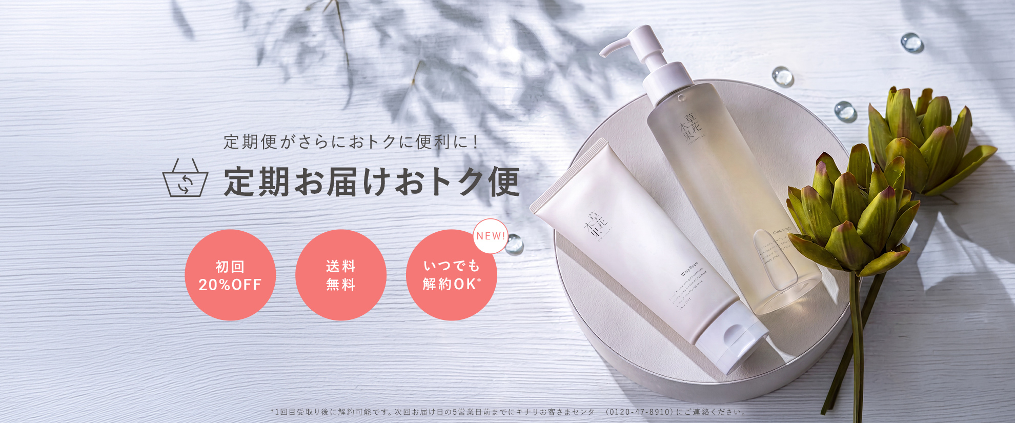 定期デビューキャンペーン