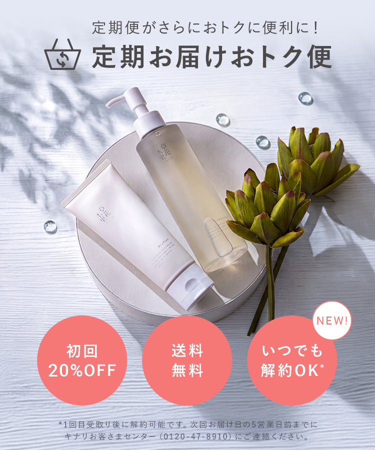 定期デビューキャンペーン
