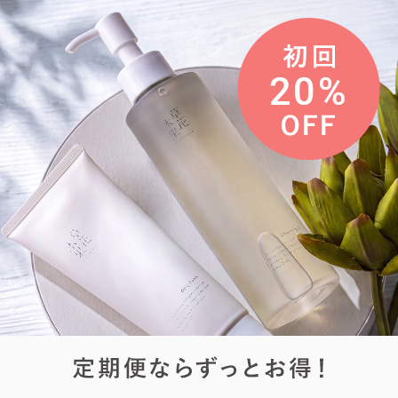 定期デビューキャンペーン