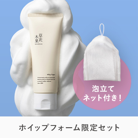 ホイップフォーム限定セット
