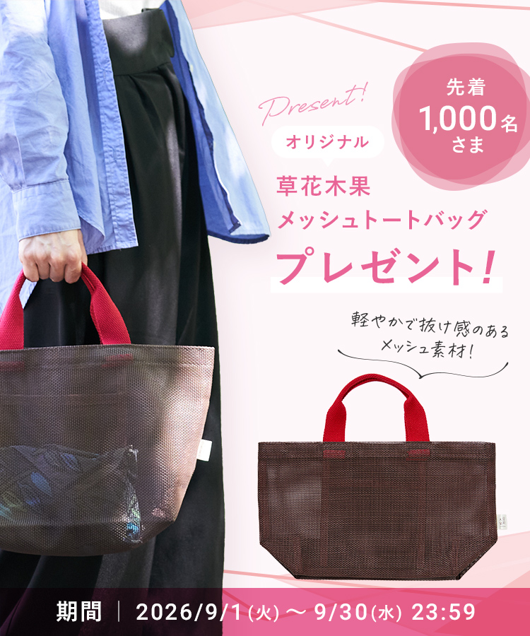 閾値プレゼント　メッシュトートバッグ