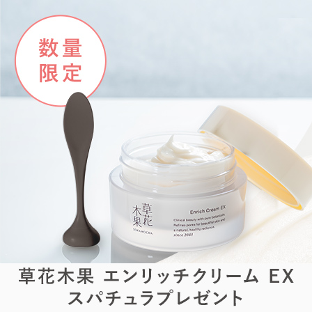 エンリッチクリーム スパチュラプレゼント